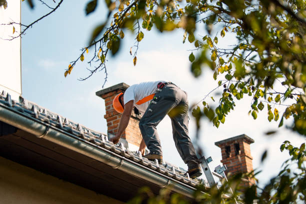 Best Emergency Roof Repair  in New Athens, IL
